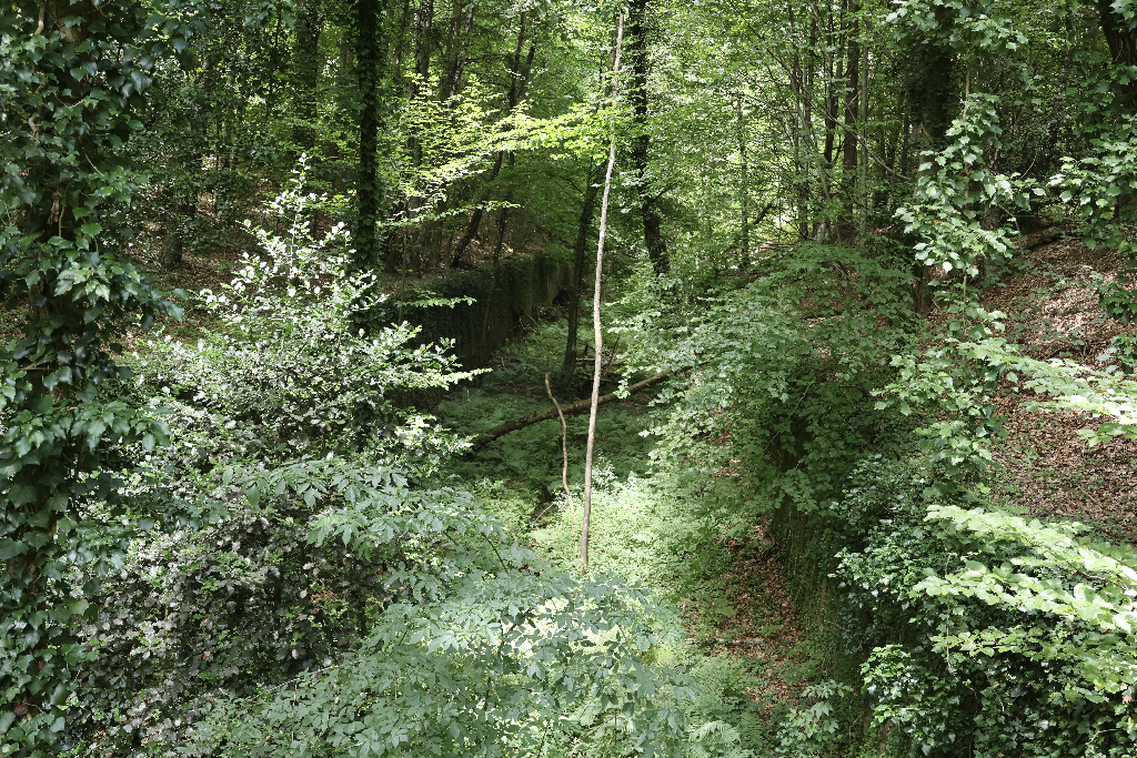 Ouvrage du Hochwald: Das Kernstück der Maginot-Linie